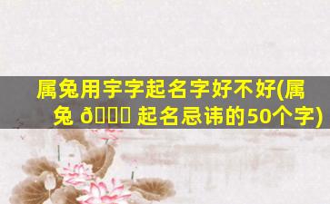 属兔用宇字起名字好不好(属兔 🐅 起名忌讳的50个字)